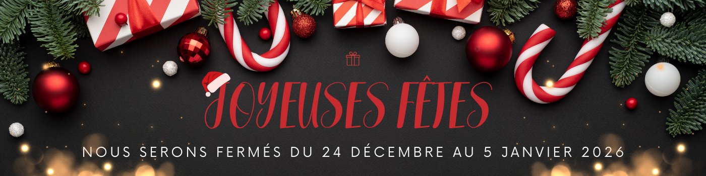 Bannière fête de noël (1)