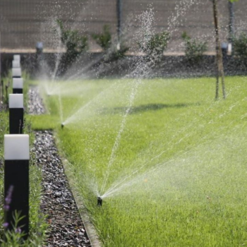 Image irrigation jardin 3