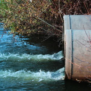 Recyclage eaux de lavage des filtres 1